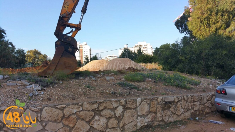 maqabara jamaseen (8).jpg